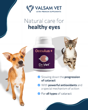 Dr+Vet Occulus+ - Εικόνα 3