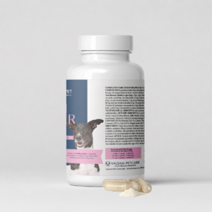 Valsam Vet Skin & Hair - Healthy Coat & Skin for Dogs and Cats - Image 4