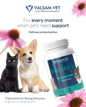 Valsam Vet ImmunUp - Immune System Support for Dogs and Cats - Image 5