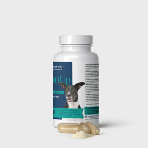 Valsam Vet ImmunUp - Immune System Support for Dogs and Cats - Image 4