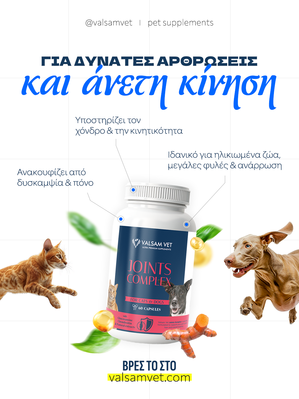 Valsam Vet Joints Complex - Joint Supplement for Dogs and Cats - Εικόνα 5